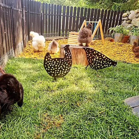 Walizka Wspomnien 3* Karpacz