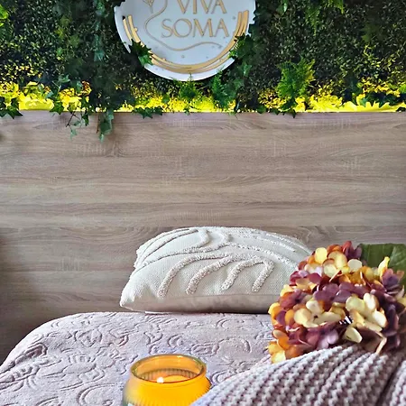 Walizka Wspomnien B&B 카르파츠