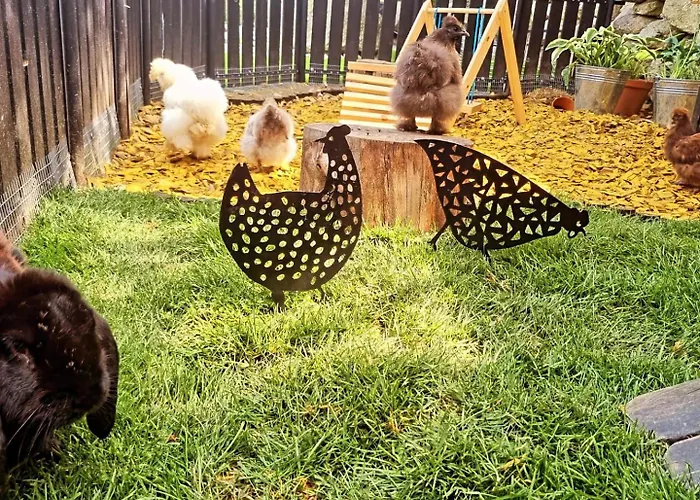 Walizka Wspomnien 3* Karpacz